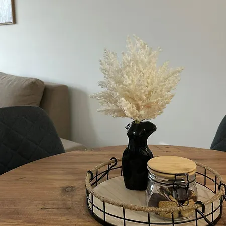 Lilyy Lux Apartment Leskovac (Jablanica)